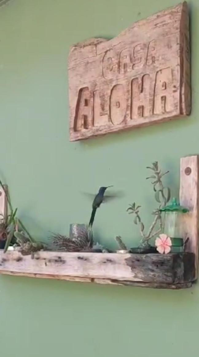 Aloha Hospedaje Puerto Iguazú Exteriér fotografie